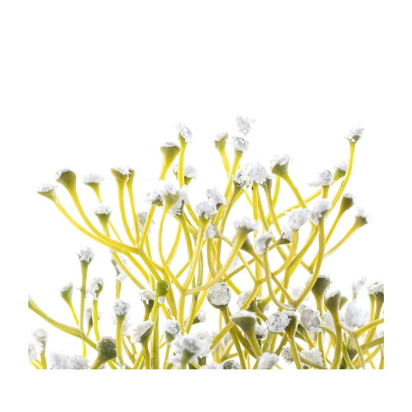 Umetna rastlina (višina 27 cm) Babi – Restilo-image-2