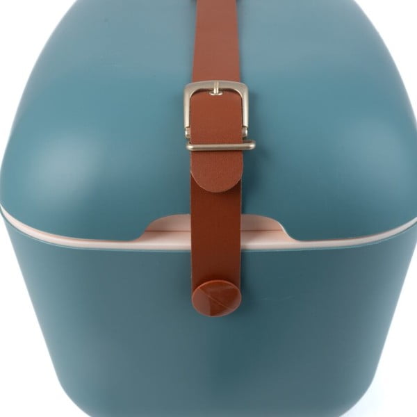 Modrozelena hladilna torba 12 l Classic – Polarbox-image-3