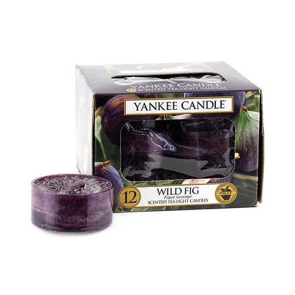Komplet 12 sveč Yankee Candle z vonjem divje fige, čas gorenja 4 - 6 ur