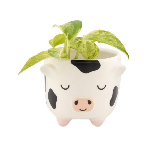 Keramičen okrasni cvetlični lonec ø 7,5 cm Cow – Sass & Belle-image-1