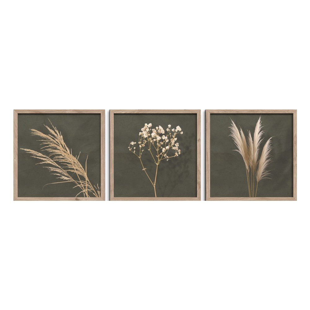 Slike v kompletu 3 ks 30x30 cm Pampas