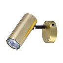 Kovinsko točkovno svetilo v zlati barvi 8x16 cm Colly – Candellux Lighting