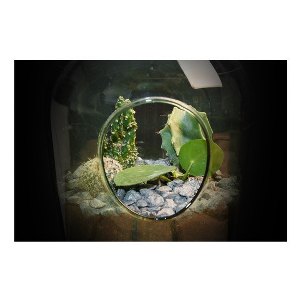 Esschert Design aerarij, 3 l-image-1