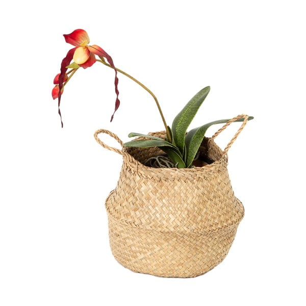 Košara za shranjevanje iz morske trave Compactor, ⌀ 27 cm-image-3