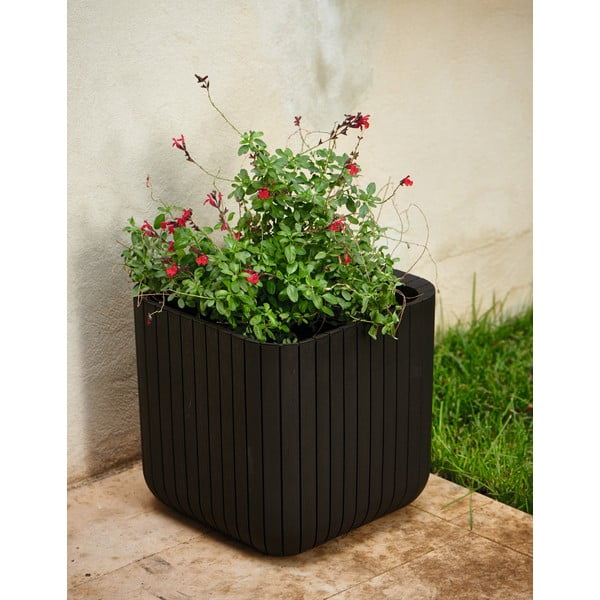 Plastičen cvetlični lonec Cube – Keter-image-1