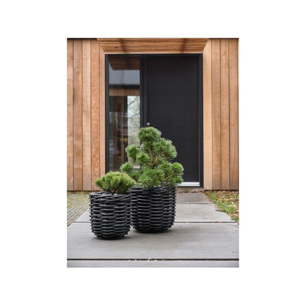 Cvetlični lonci v kompletu 2 ks iz ratana ø 52 cm Vilda – Villa Collection-image-3