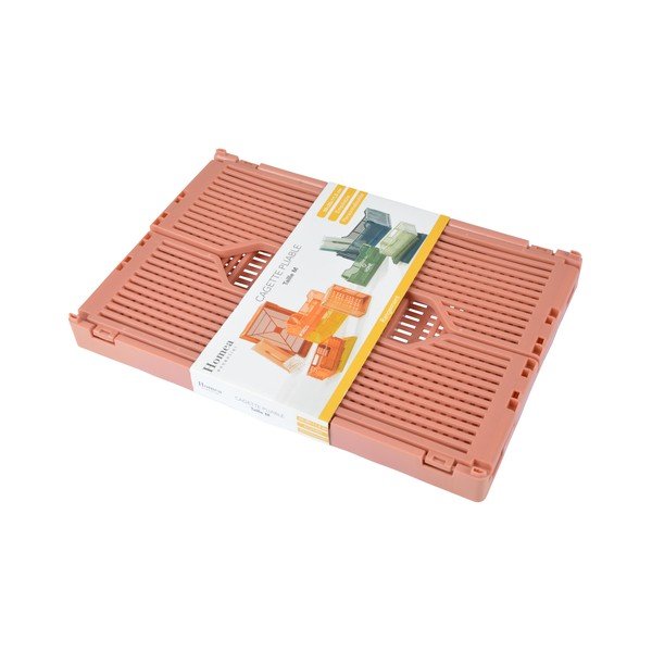 Rožnato-oranžna plastična škatla za shranjevanje 30x20x11.5 cm – Homéa-image-1