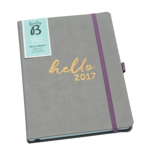 Družina Busy B 2017 družinski načrtovalnik