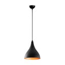 Črna viseča svetilka s kovinskim senčilom ø 22 cm Sağlam – Opviq lights