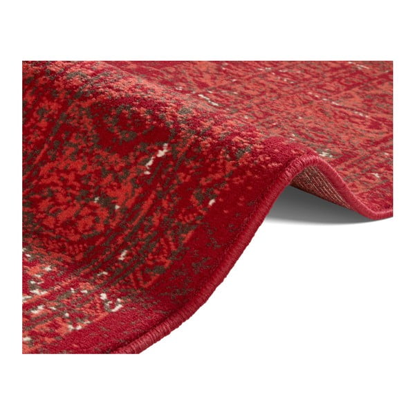 Rdeča preproga Hanse Home Celebration Plume, 160 x 230 cm-image-2