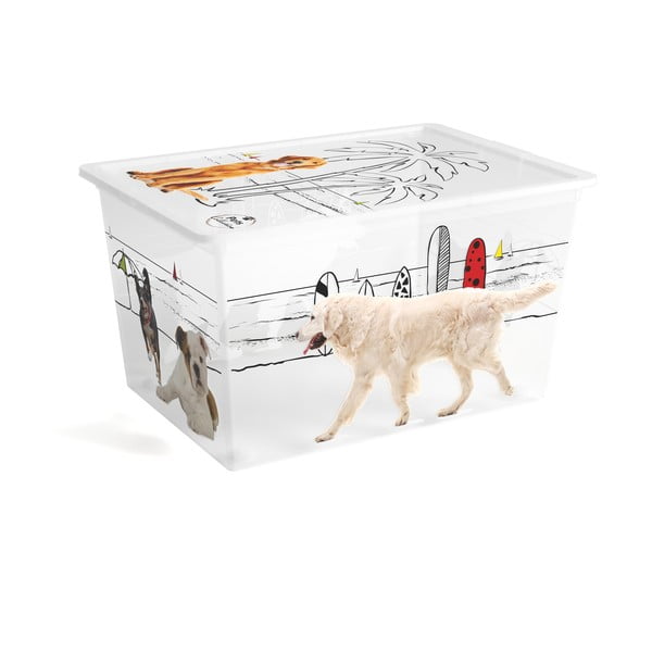 Bela plastična škatla za shranjevanje s pokrovom 55x39x31 cm C Box Style – KIS