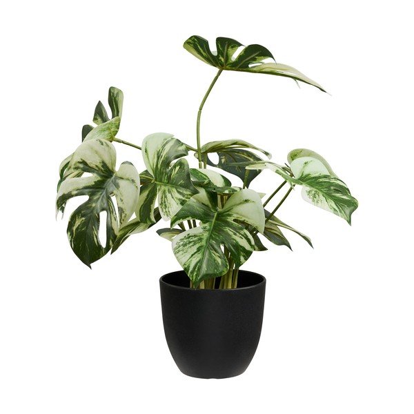 Umetna rastlina (višina 41 cm) Monstera – House Nordic