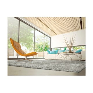 Siva preproga Universal Aloe Liso, 120 x 170 cm