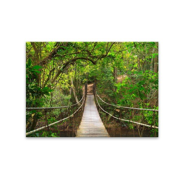 Styler Glas Nature Forest Most, 80 x 120 cm