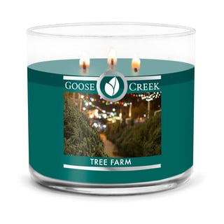 Dišeča sveča Goose Creek Tree Farm, čas gorenja 35 h