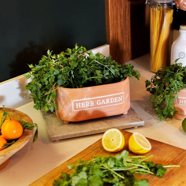 Terakotni lonec z zelišči Sass & Belle, dolžina 23 cm-image-1