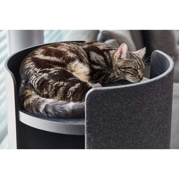 Praskalnik za mačke Torre Ash Black S – MiaCara-image-1