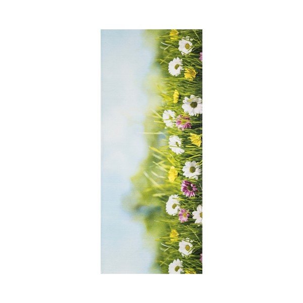 Visoko odporen tekač Webtappeti Campo, 58 x 140 cm-image-1