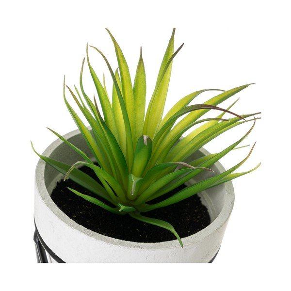 Umetne rastline v kompletu 4 ks – Casa Selección-image-4