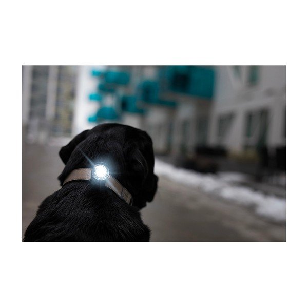 LED lučka za ovratnico Dark - Orbiloc-image-4