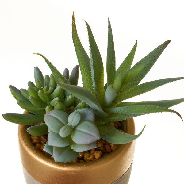 Umetne rastline v kompletu 4 ks (višina 17 cm) Cactus – Casa Selección-image-3