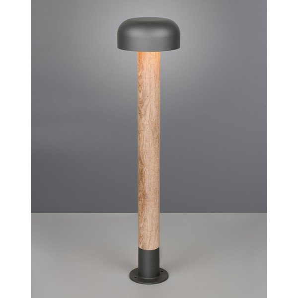 Stebrična zunanja svetilka ø 19 cm Fraser – Trio-image-1