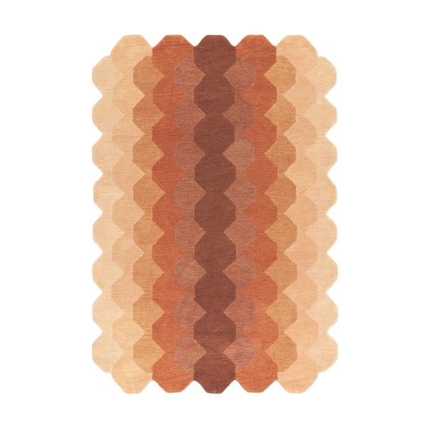 Opečnato oranžna volnena preproga 200x290 cm Hive – Asiatic Carpets