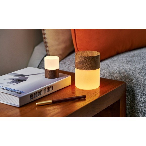 Svetlobna dekoracija na USB v naravni barvi ø 4,5 cm Lemelia – Gingko-image-3