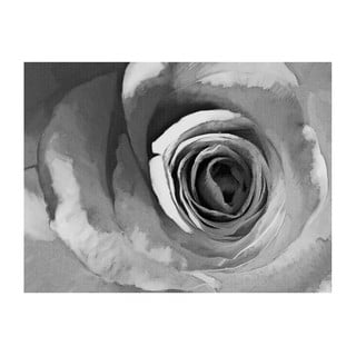 Tapeta velikega formata Artgeist Paper Rose, 400 x 309 cm