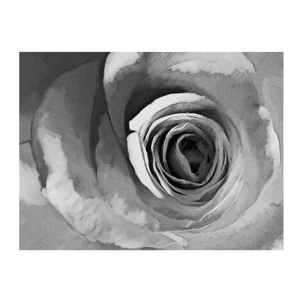Tapeta velikega formata Artgeist Paper Rose, 200 x 154 cm