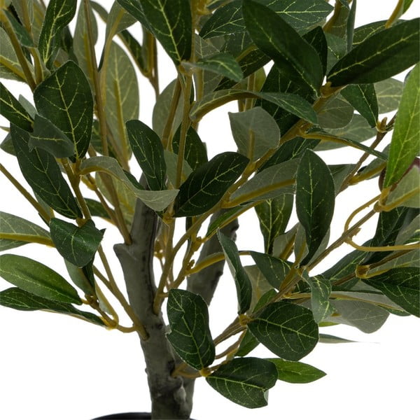 Umetna oljka – Casa Selección-image-1