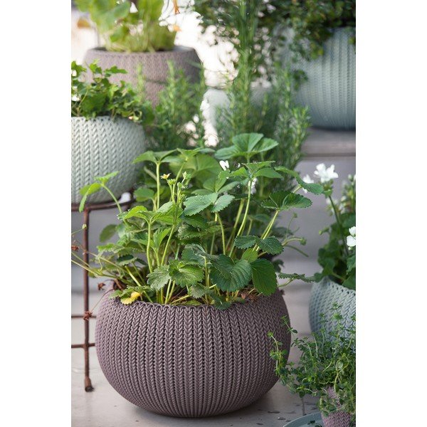 Plastičen viseči cvetlični lonec ø 36 cm Cozy – Keter-image-1