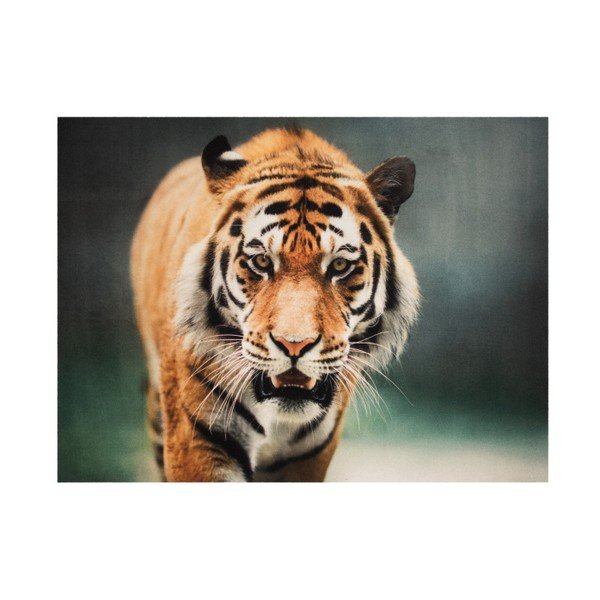 Preproga Hanse Home Tiger, 190 x 140 cm