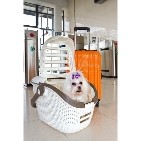 Bela potovalna škatla za hišne ljubljenčke Curver Vintage-image-1