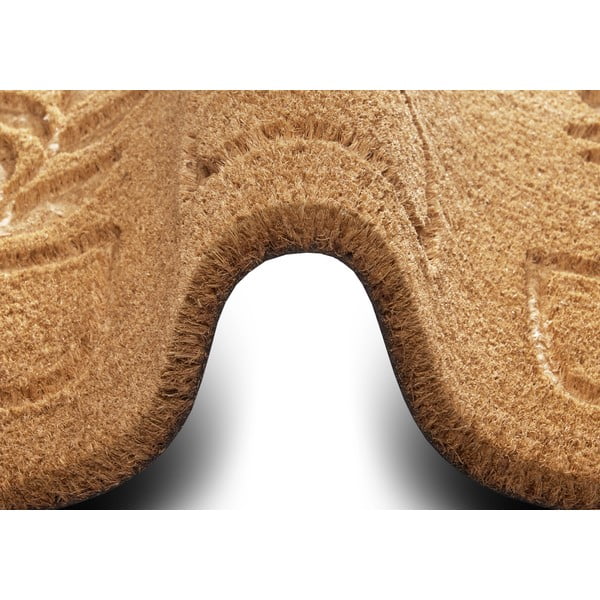 Predpražnik iz kokosovih vlaken 75x45 cm Flowerpot - Hanse Home-image-2