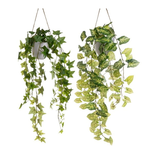 Umetne rastline v kompletu 2 ks (višina 55 cm) – Casa Selección