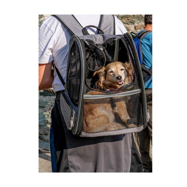 Torba za prenašanje hišnih ljubljenčkov 27x33 cm - Love Story-image-1