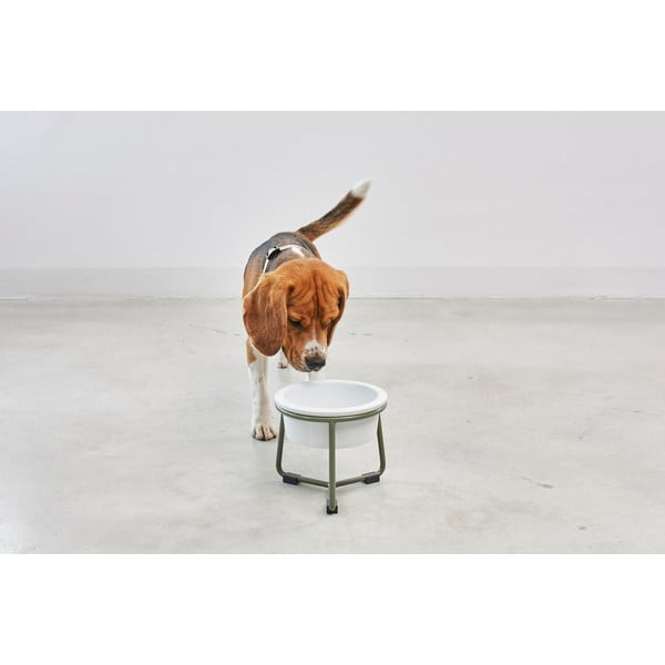 Porcelanasta posoda s podstavkom za pse ø 20 cm Pranzo Grolive M – MiaCara-image-2