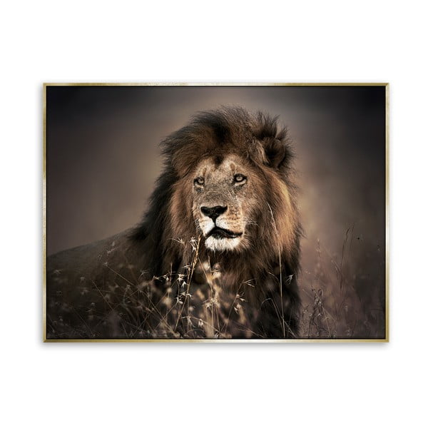 Slika leva na platnu Styler Golden Lion, 62 x 82 cm