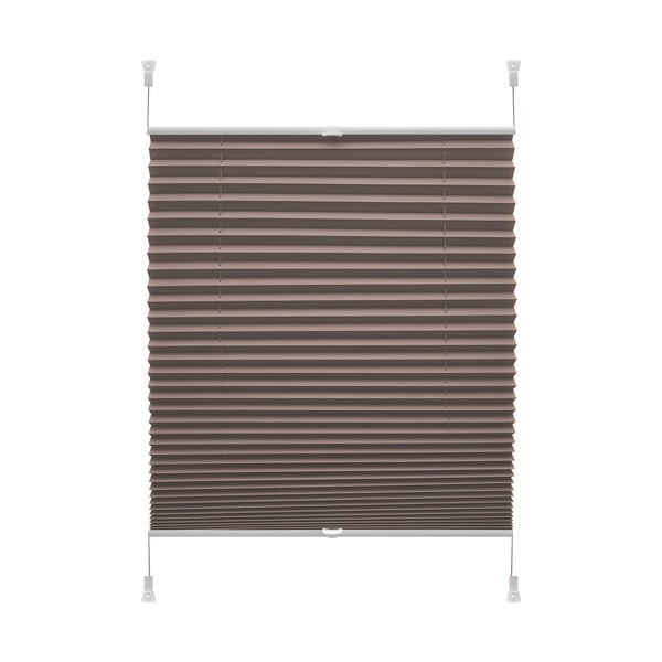 Rjav rolo 42,5x150 cm Plisé Verona – Gardinia