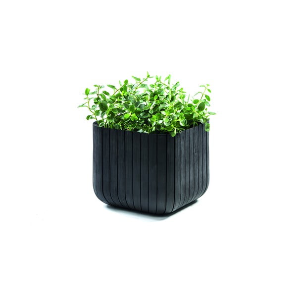 Plastičen cvetlični lonec Cube – Keter-image-2