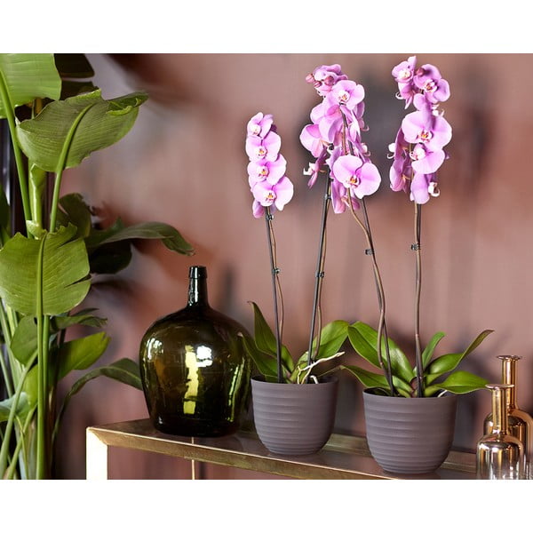 Cvetlični lonec iz reciklirane plastike ø 20 cm Havana – Artevasi-image-2