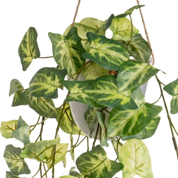 Umetne rastline v kompletu 2 ks (višina 55 cm) – Casa Selección-image-3