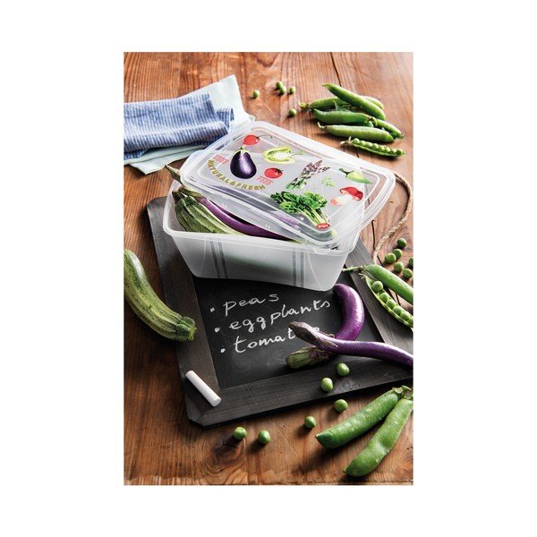 Komplet 2 Snips Vintage škatlic za hrano, 2 l-image-1