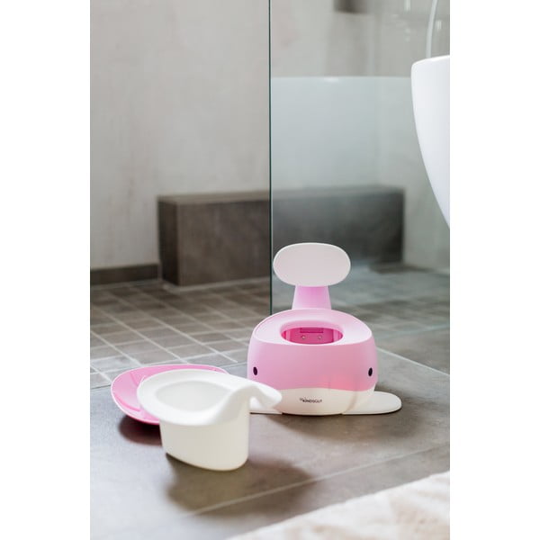 Roza kahlica - Kindsgut   -image-1