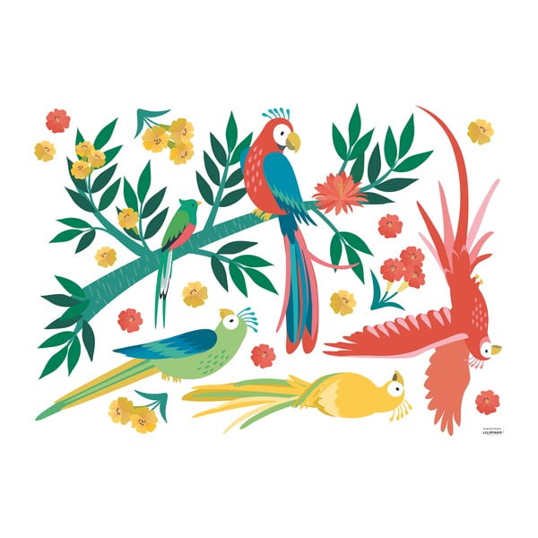 Nalepke 90x64 cm Parrots – Lilipinso