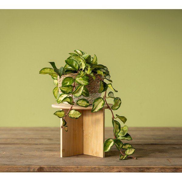 Stojalo za cvetlične lonce iz bambusa ø 25 cm (višina 19,5 cm) – Esschert Design-image-1
