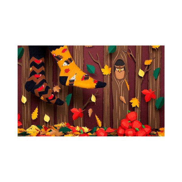 Many Mornings Nogavice Apple Hedgehog, velikost 43-46-image-1