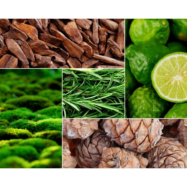 Dišeča sveča iz sojinega voska čas gorenja 60 h Tobacco&Leather/Oud&Bergamote – Privé Home-image-1