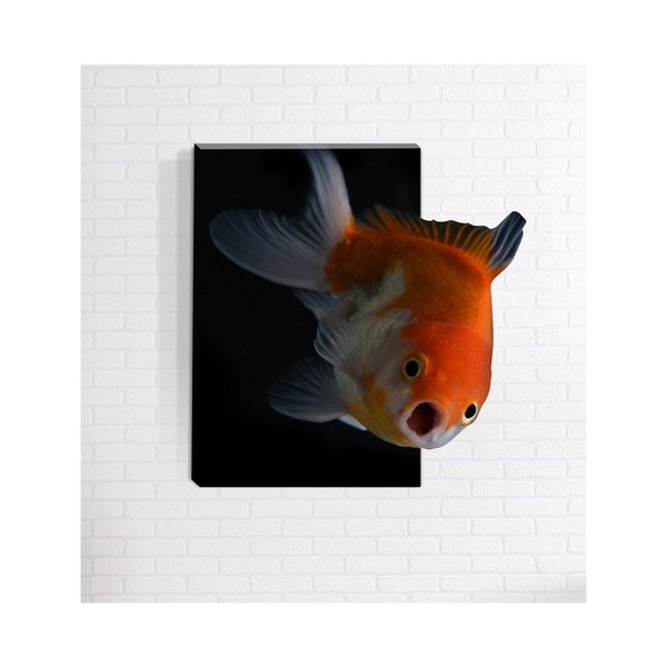 3D stenska slika Mosticx Nemo, 40 x 60 cm